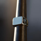 TWIN PANTHERS - Dirty Paradise