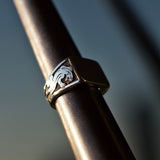 TWIN PANTHERS - Dirty Paradise