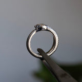 OUROBOROS