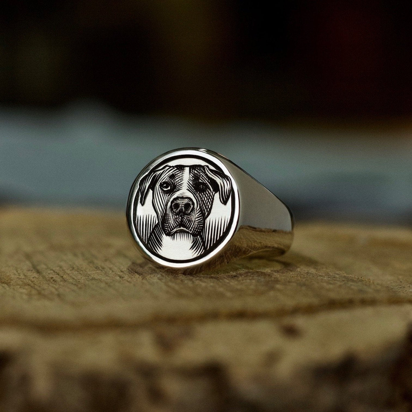 PET PORTRAIT CUSTOM SIGNET RING Dirty Paradise